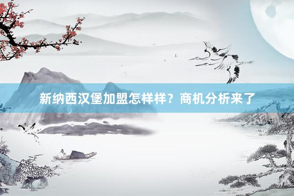 新纳西汉堡加盟怎样样？商机分析来了