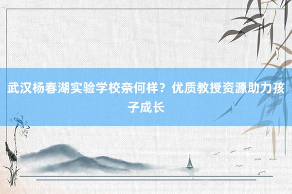 武汉杨春湖实验学校奈何样？优质教授资源助力孩子成长